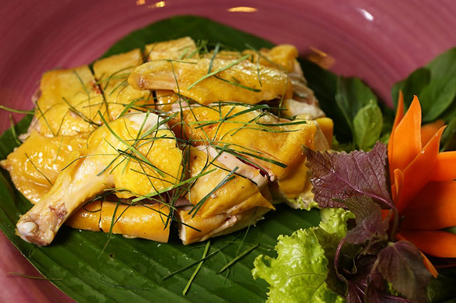 Gà tre hấp hành